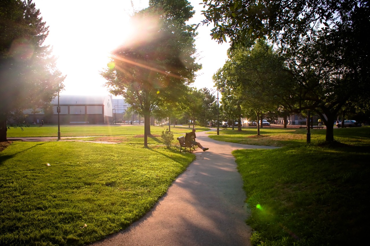 Petersen Park Green Spaces and Recreation Fields